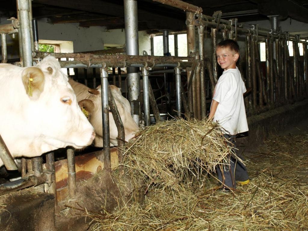 Ferienwohnung Am Oberrainerhof Arriach Eksteriør bilde